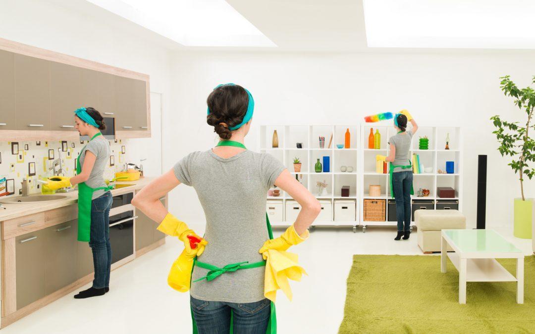 northern virginia home cleaner