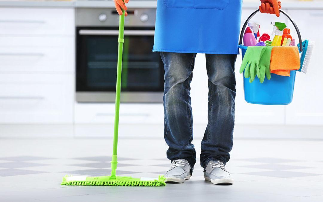 northern virginia home cleaner