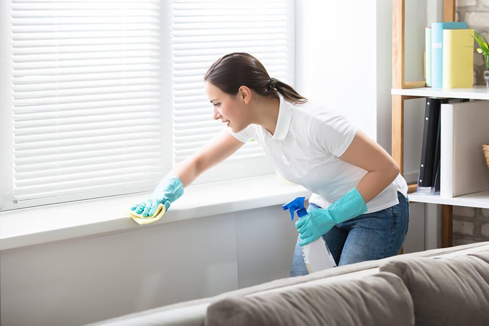 northern virginia domestic cleaning services