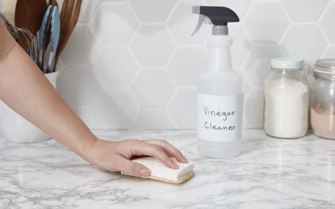 How To Kill Mould And Mildew With Vinegar