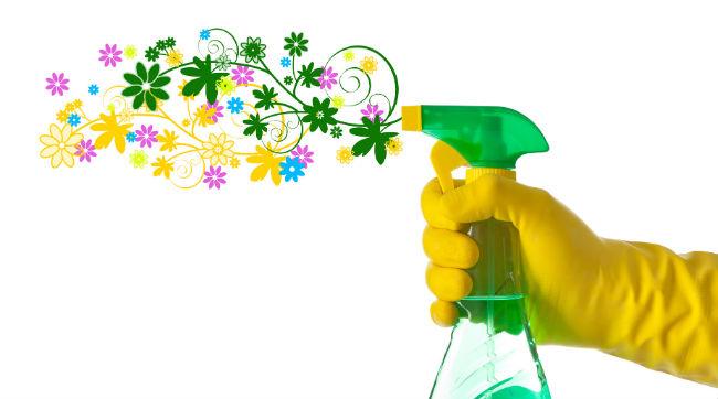 Why Consider Green Clean Services for Residential Cleaning?