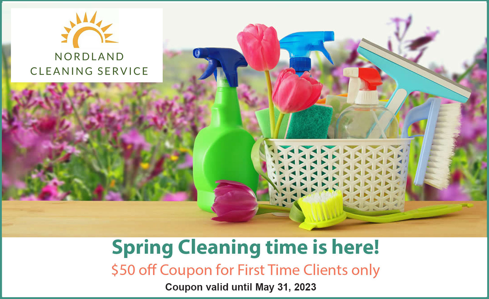northern virginia cleaning coupon