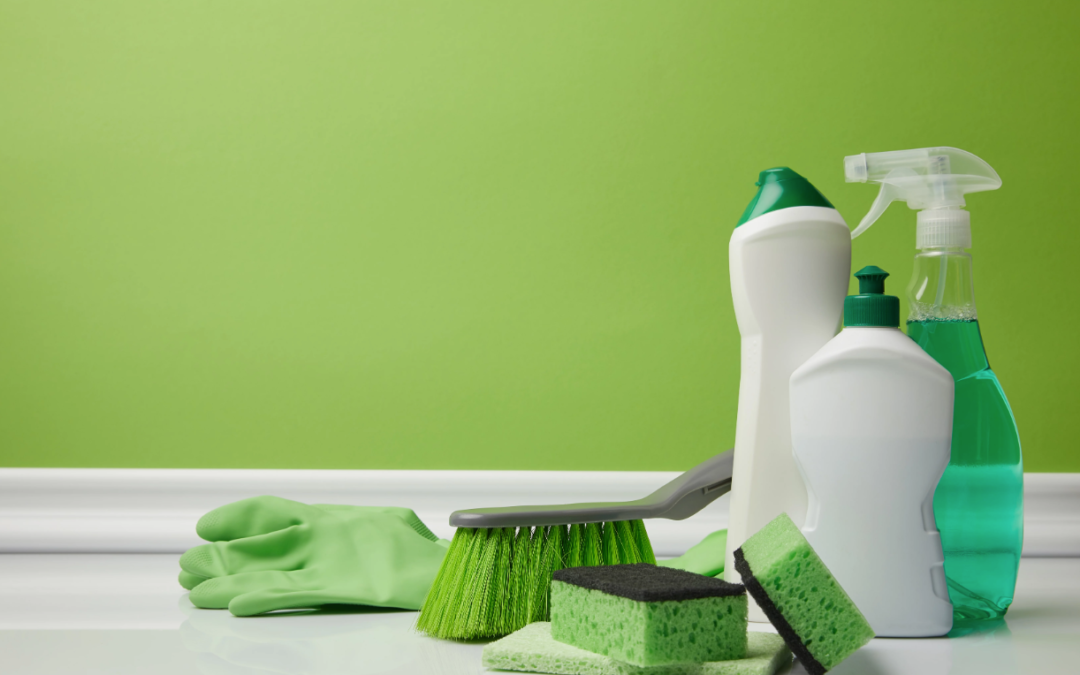 northern virginia green cleaning services