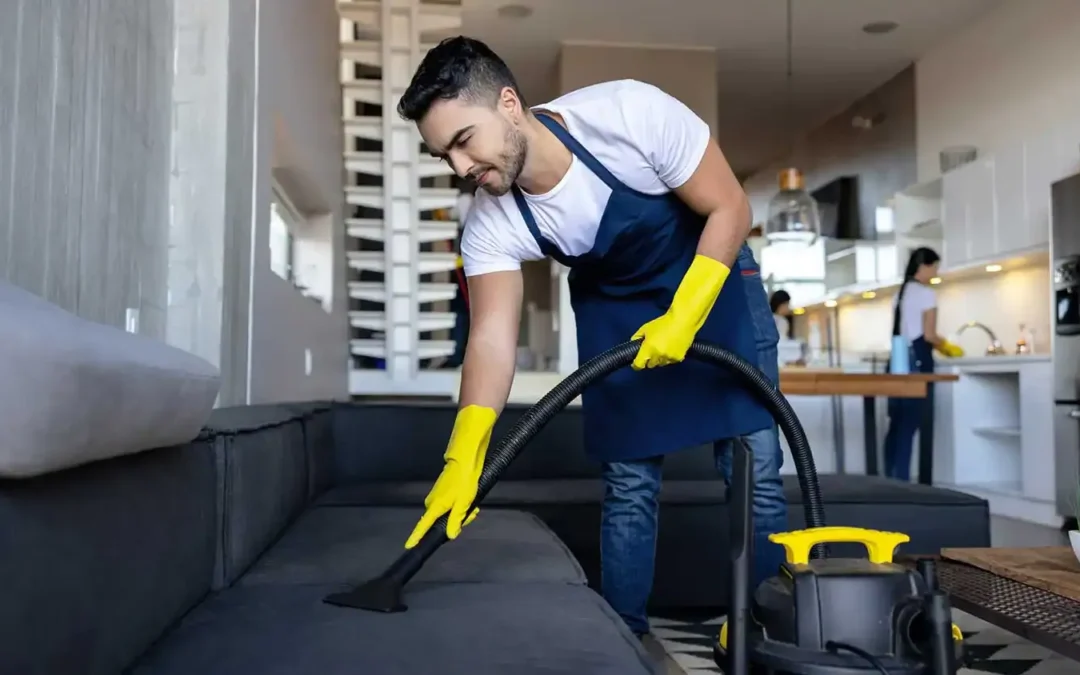 professional cleaning service