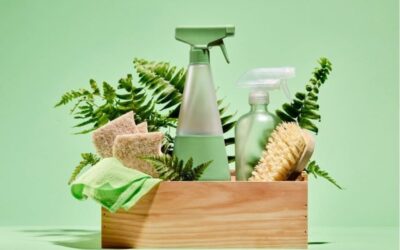 Why Eco Cleaning Works Just as Hard and Smarter
