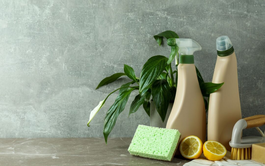 eco-cleaning, northern virginia