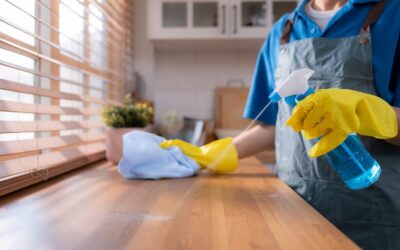 Why Regular Cleaning Services in Northern Virginia Are a Game-Changer